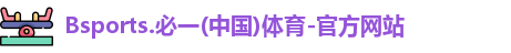 B体育官网